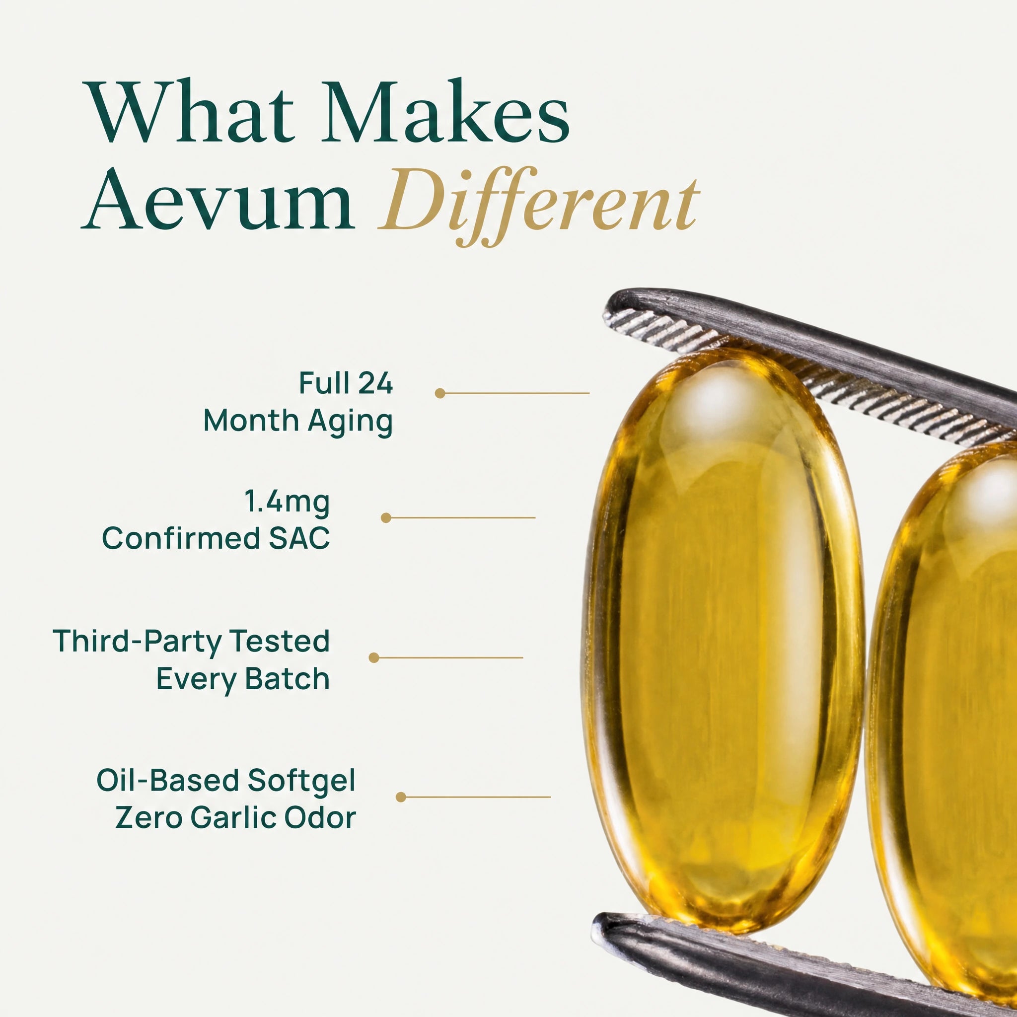 Aged Garlic Extract - 7,500mg Odorless